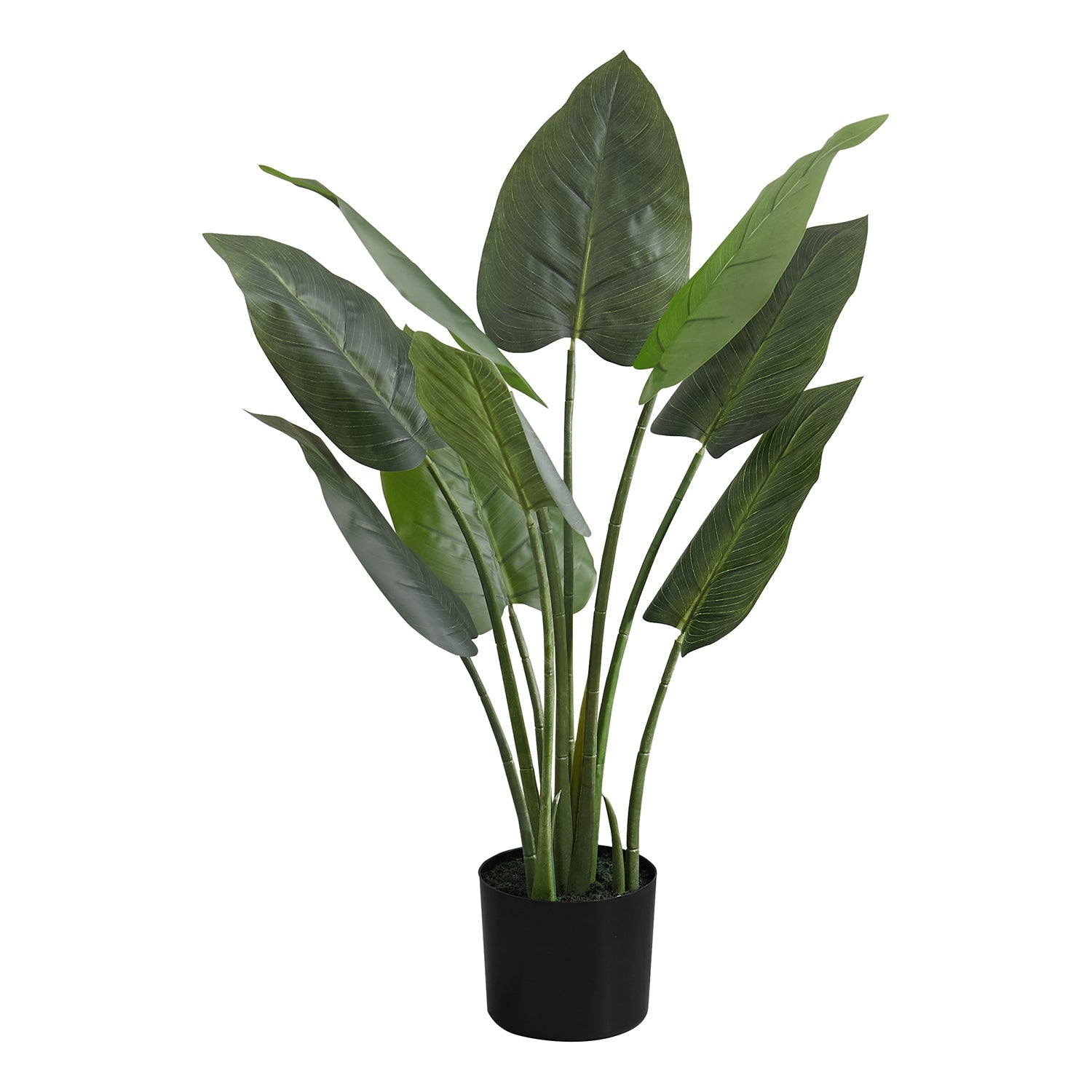 Monarch Specialties I 9509 - Plante Artificielle, 37" De Haut, Arbre Aureum, Intérieur, Faux, Faux, Étage, Verdure, Mis En Pot, Vraie Touche, Décoratif, Feuilles Vertes, Pot Noir - Simple Boutique