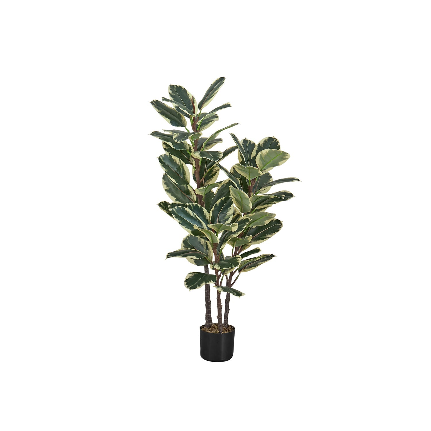 Monarch Specialties I 9544 - Plante Artificielle, 47" De Haut, Chêne, Intérieur, Faux, Faux, Étage, Verdure, Mis En Pot, Vraie Touche, Décoratif, Feuilles Vertes, Pot Noir - Simple Boutique