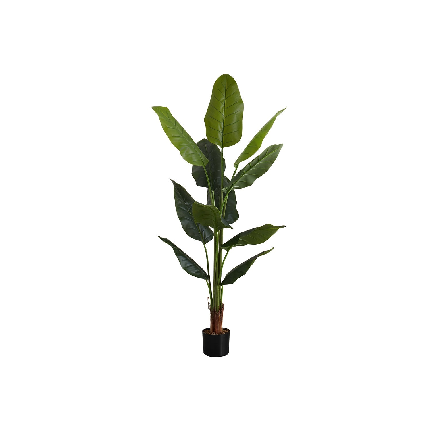 Monarch Specialties I 9545 - Plante Artificielle, 59" De Haut, Arbre Strelitzia, Intérieur, Faux, Faux, Étage, Verdure, Mis En Pot, Vraie Touche, Décoratif, Feuilles Vertes, Pot Noir - Simple Boutique