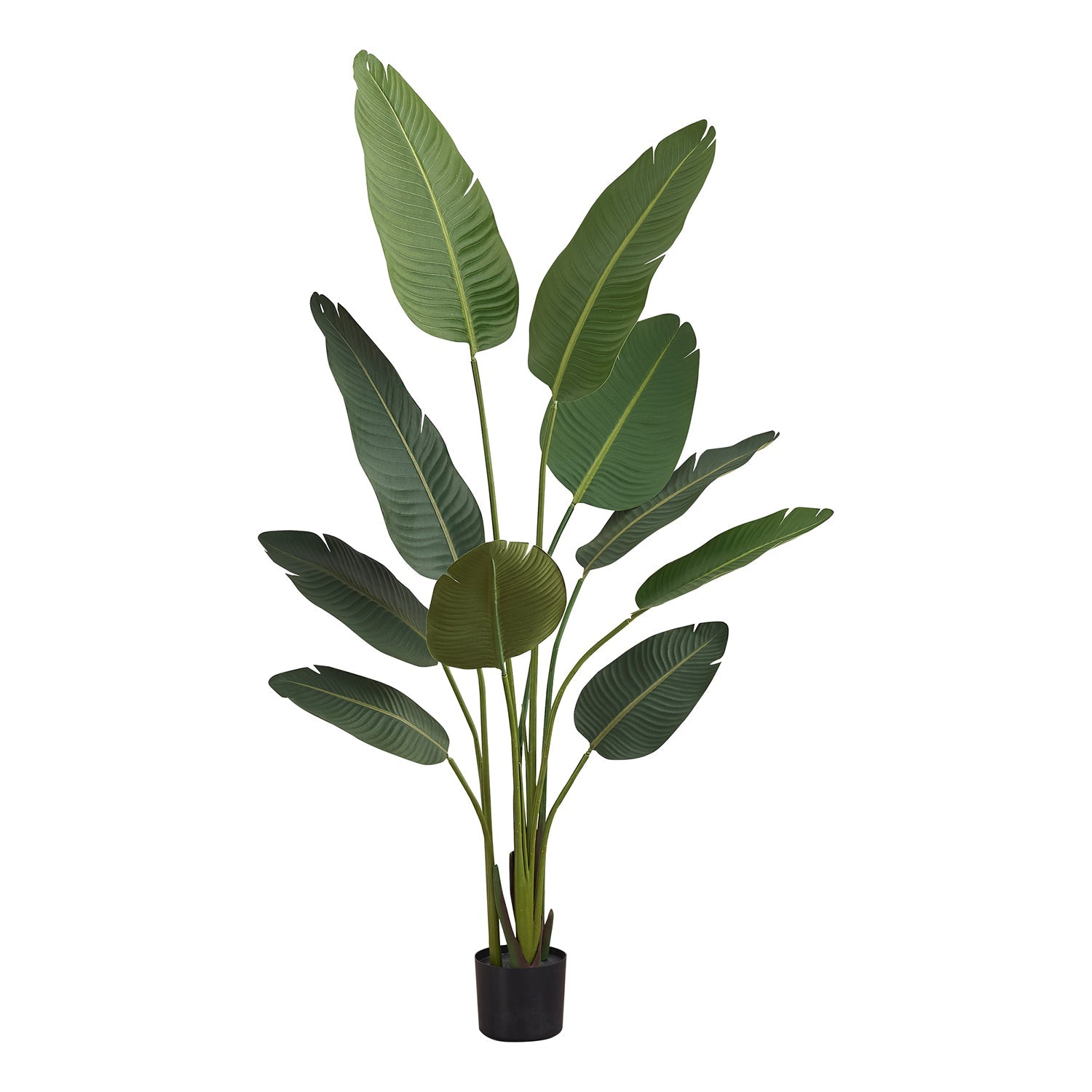 Monarch Specialties I 9570 - Plante Artificielle, 60" De Haut, Arbre Oiseau Du Paradis, Intérieur, Faux, Faux, Étage, Verdure, Mis En Pot, Décoratif, Feuilles Vertes, Pot Noir - Simple Boutique