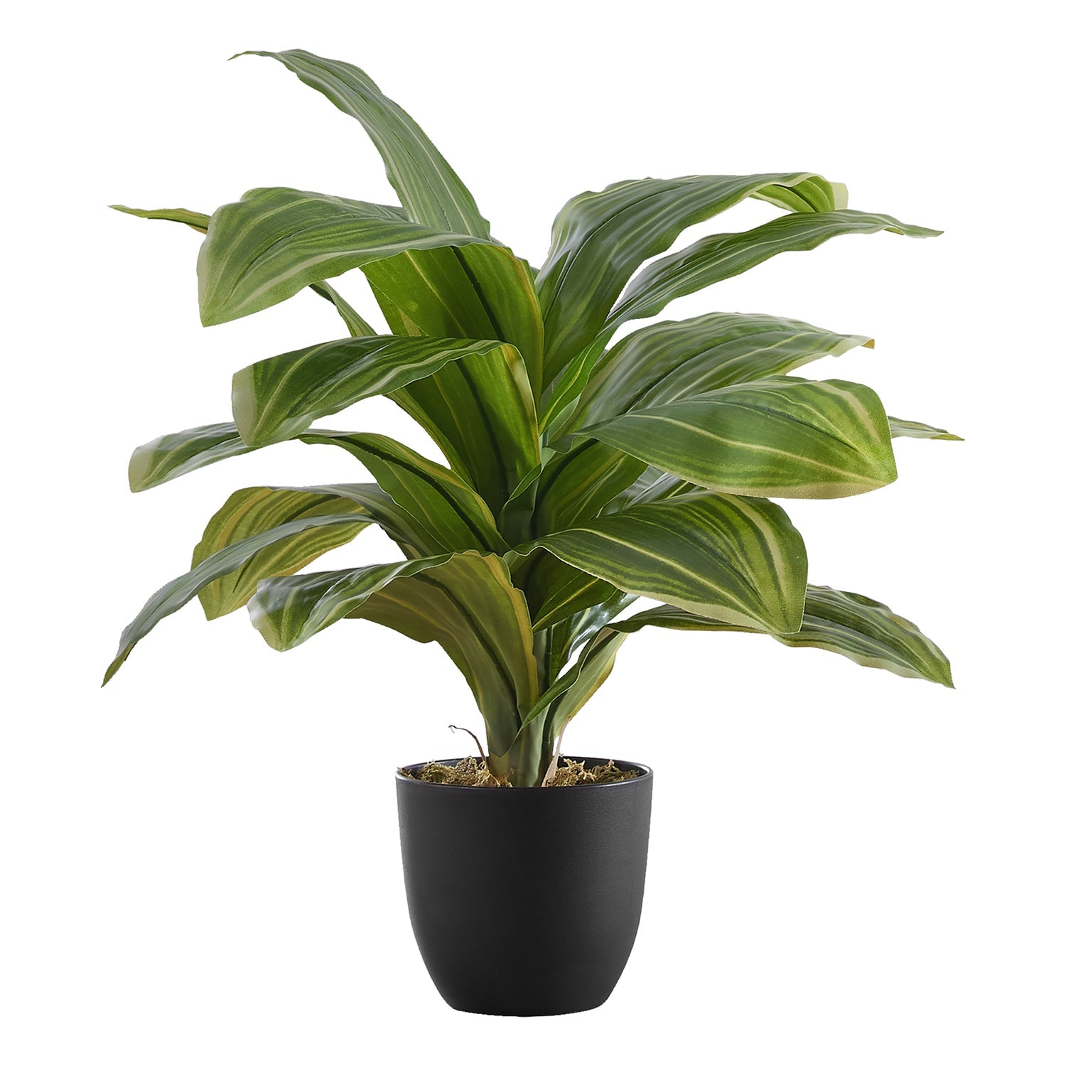 Monarch Specialties I 9573 - Plante Artificielle, 17" De Haut, Dracaena, Intérieur, Faux, Faux, Tableau, Verdure, Mis En Pot, Vraie Touche, Décoratif, Feuilles Vertes, Pot Noir - Simple Boutique