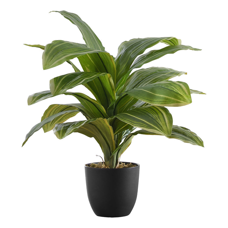 Monarch Specialties I 9573 - Plante Artificielle, 17" De Haut, Dracaena, Intérieur, Faux, Faux, Tableau, Verdure, Mis En Pot, Vraie Touche, Décoratif, Feuilles Vertes, Pot Noir - Simple Boutique