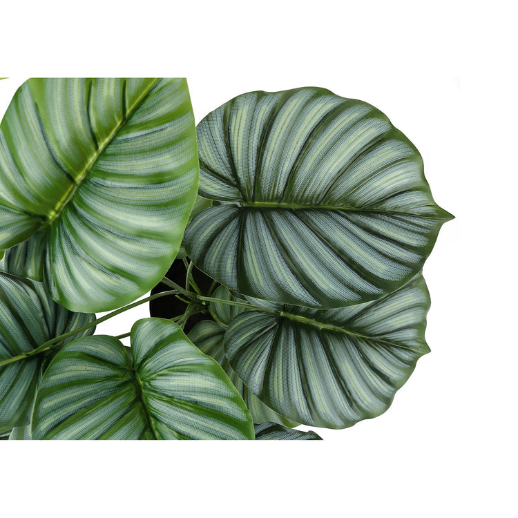 Monarch Specialties I 9577 - Plante Artificielle, 24" De Haut, Calathée, Intérieur, Faux, Faux, Tableau, Verdure, Mis En Pot, Vraie Touche, Décoratif, Feuilles Vertes, Pot Noir - Simple Boutique