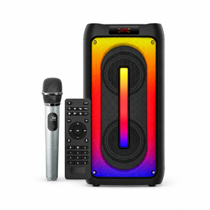 Rage Audio Haut-Parleur de Fête Sans Fil 2 x 20 W avec Microphone Sans Fil, Lumières RVB et Télécommande, Noir - Simple Boutique
