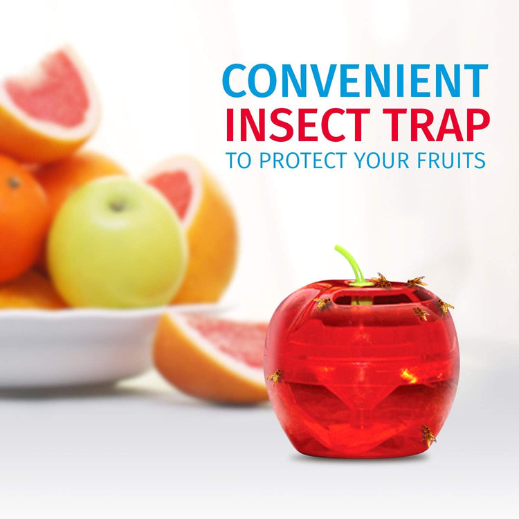 Raid - Ensemble de 2 Pièges à Mouche à Fruits, Approvisionnement de 120 Jours, Sans Insecticide - Simple Boutique