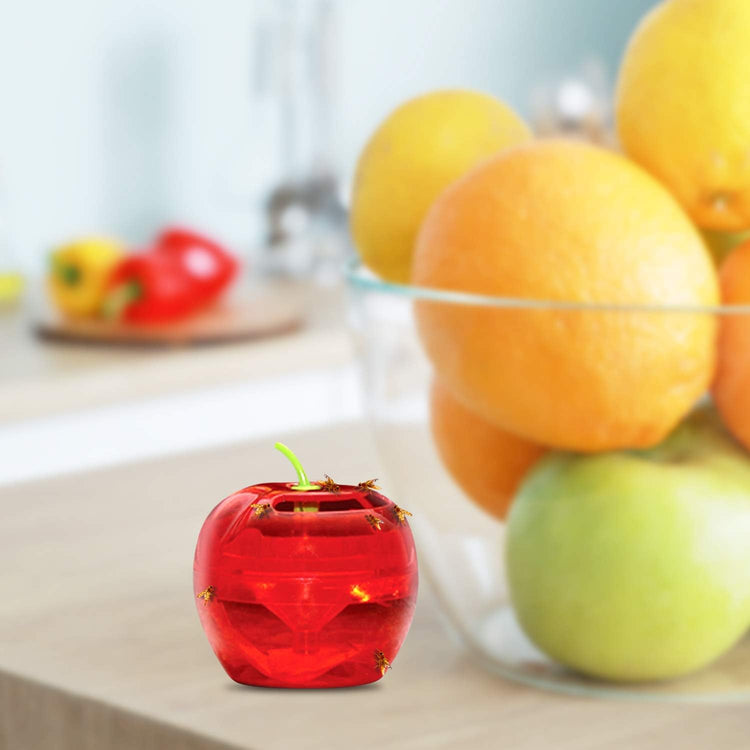 Raid - Ensemble de 2 Pièges à Mouche à Fruits, Approvisionnement de 120 Jours, Sans Insecticide - Simple Boutique