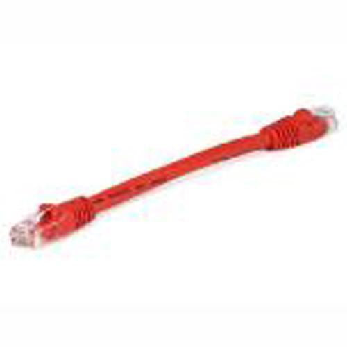 TechCraft Câble ethernet réseau Cat6 550MHz RJ-45 8 pouces Rouge - Simple Boutique