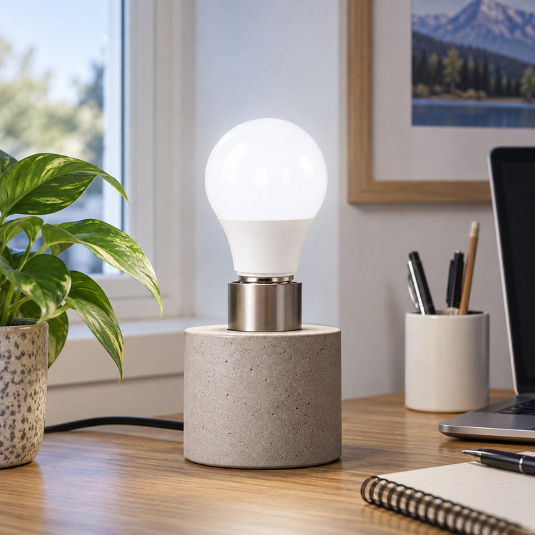 Xtricity Ampoule DEL A19, 12W, équivalent 100W Lumière du jour 5000K, Simple, Non-dimmable - Lot de 6 - Simple Boutique