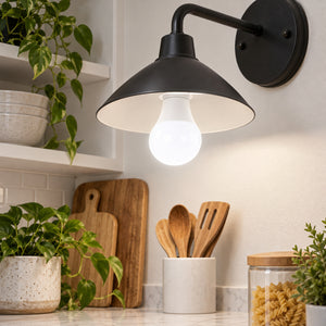 Xtricity Ampoule DEL A19, 12W, équivalent 100W Lumière du jour 5000K, Simple, Non-dimmable - Lot de 6 - Simple Boutique