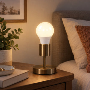 Xtricity Ampoule DEL A19, 12W, équivalent 100W blanc doux 3000K, individuelle, non-dimmable - Lot de 6 - Simple Boutique