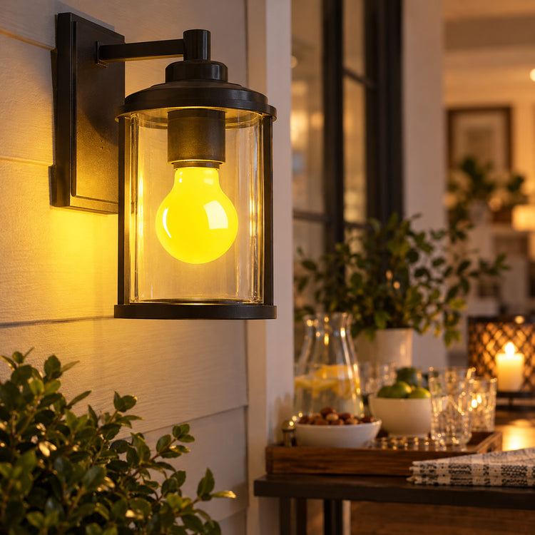 Xtricity Ampoule DEL anti-insectes A19, 5 W jaune, faisceau 360°, intensité réglable - Lot de 6 - Simple Boutique