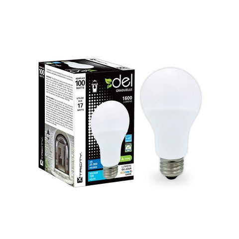 Xtricity Ampoule Intérieur/Extérieur DEL Type A/17W/120V/5000K/Lumière du Jour Grad.