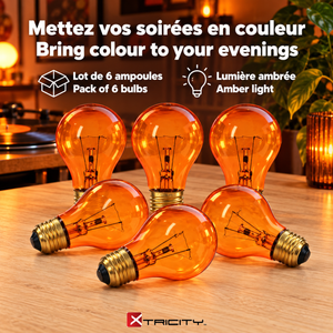 Xtricity Ampoule de fête A19 - 60W Ambre, Incandescente, Culot moyen E26, Simple - Lot de 6 - Simple Boutique