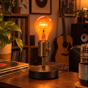 Xtricity Ampoule de fête A19 - 60W Ambre, Incandescente, Culot moyen E26, Simple - Lot de 6 - Simple Boutique