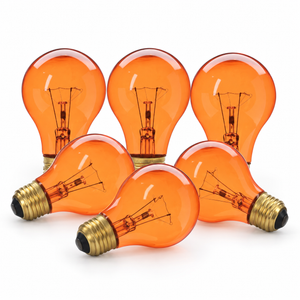 Xtricity Ampoule de fête A19 - 60W Ambre, Incandescente, Culot moyen E26, Simple - Lot de 6 - Simple Boutique