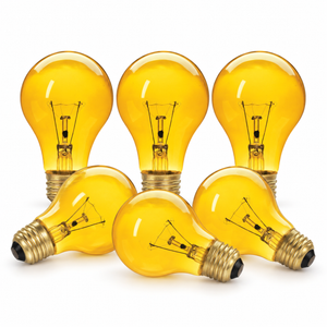 Xtricity Ampoule de fête A19 - 60W Jaune, Incandescente, Culot moyen E26, Simple - Lot de 6 - Simple Boutique