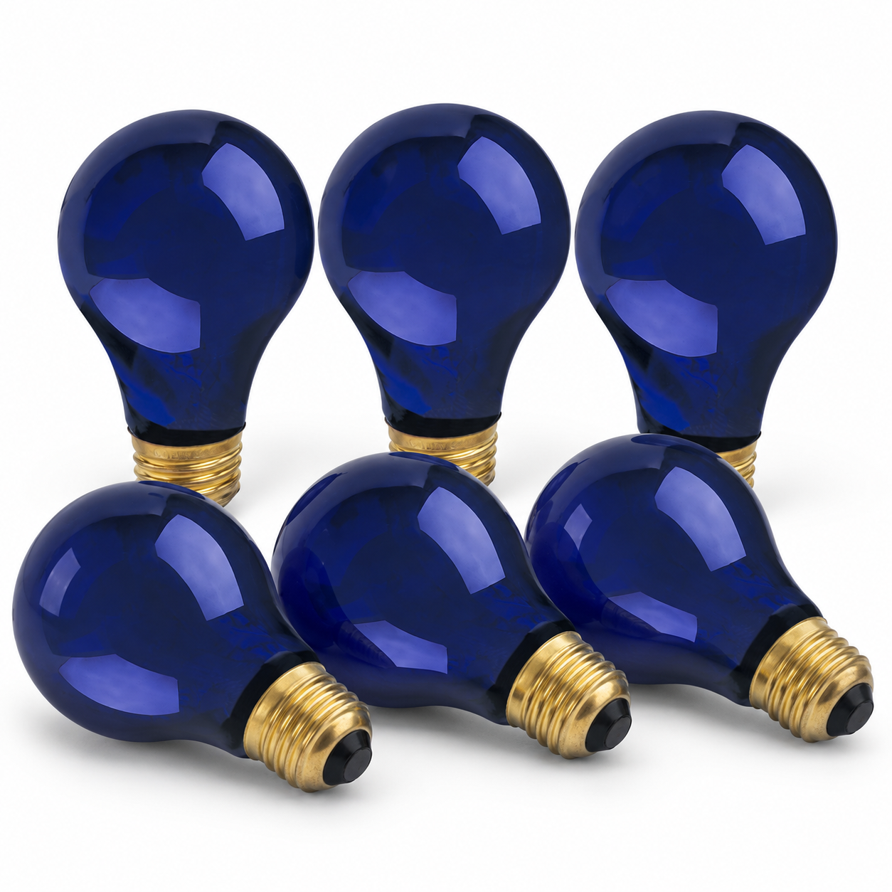 Xtricity Ampoule de fête A19 - 75W / Lumière noire, Ultraviolet - Lot de 6 - Simple Boutique