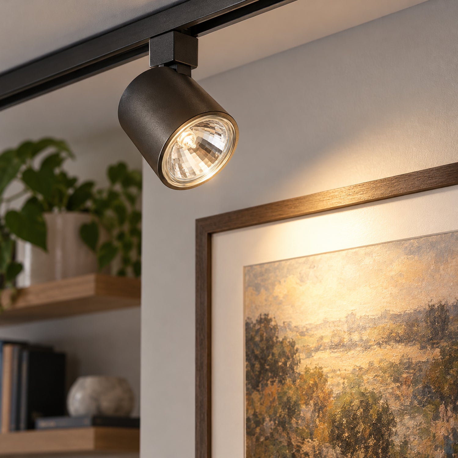 Xtricity Ampoule halogène MR16 - 50W / 825 lumens / Faisceau 36° / GU5.3, 12V - Lot de 6 - Simple Boutique