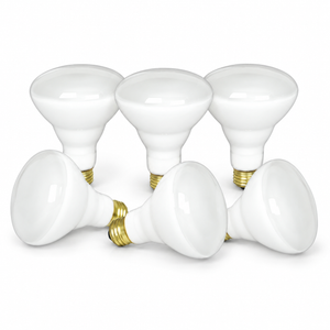 Xtricity Ampoule projecteur BR30, 65W dépolie, culot moyen - Lot de 6 - Simple Boutique