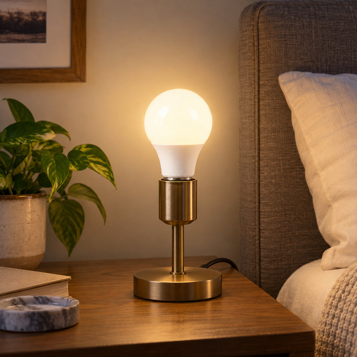 Xtricity DEL Type A19 9,5W / 120V / E26 / 3000K Blanc Chaud Dimmable - Lot de 6 - Simple Boutique