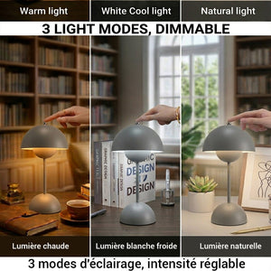 Xtricity Lampe de table tactile DEL portable Palm Springs, rechargeable par USB - Sans fil, à intensité variable, 3 couleurs, gris - Simple Boutique