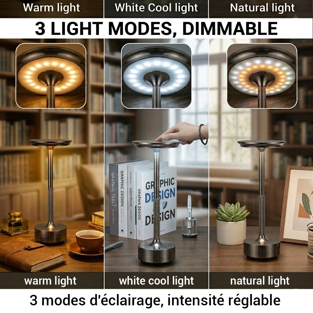 Xtricity Lampe de table tactile portable Spirit DEL rechargeable USB - gris fusil - Simple Boutique