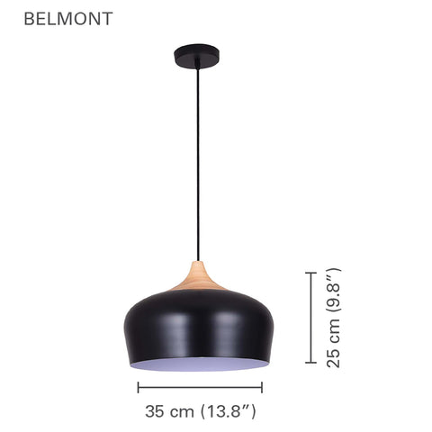 Xtricity - Luminaire Suspendu, Largeur de 13.8'', De la Collection Belmont, Noir