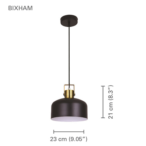 Xtricity - Luminaire Suspendu, Largeur de 9.1'', De la Collection Bixham, Noir