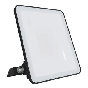 Xtricity - Projecteur DEL Étanche, 1900 Lumens, 20W, Pour Usage Extérieur, 3000K Blanc Chaud - Simple Boutique