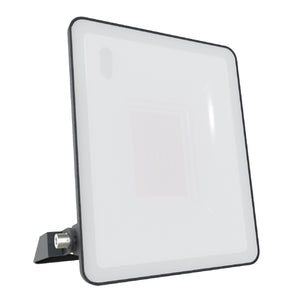Xtricity - Projecteur DEL Étanche, 2850 Lumens, 30W, Pour Usage Extérieur, 4000K Blanc Froid - Simple Boutique