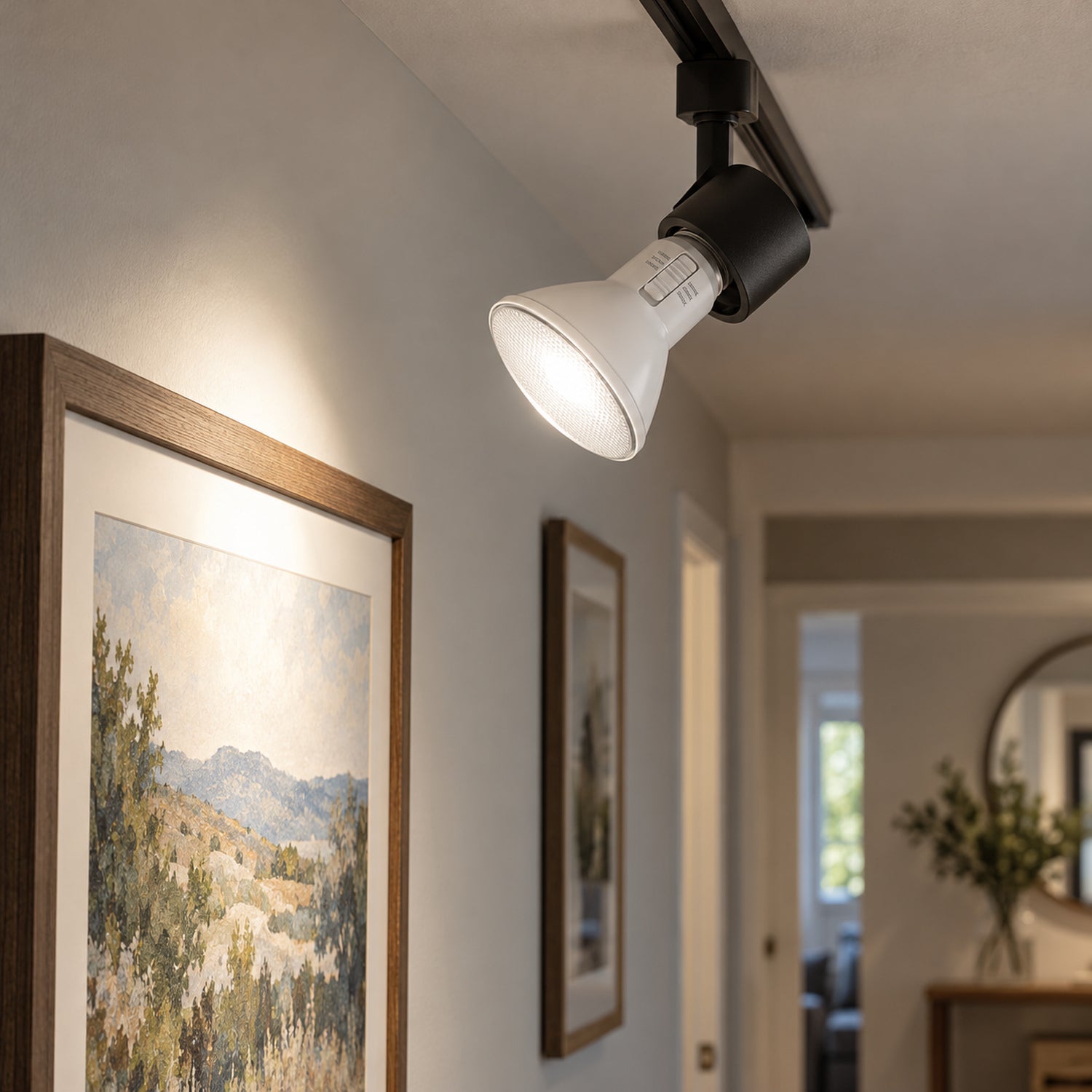 Xtricity Réflecteur DEL PAR30 Dimmable - 11W, 3-CCT Sélectionnables, E26 - Lot de 6 - Simple Boutique