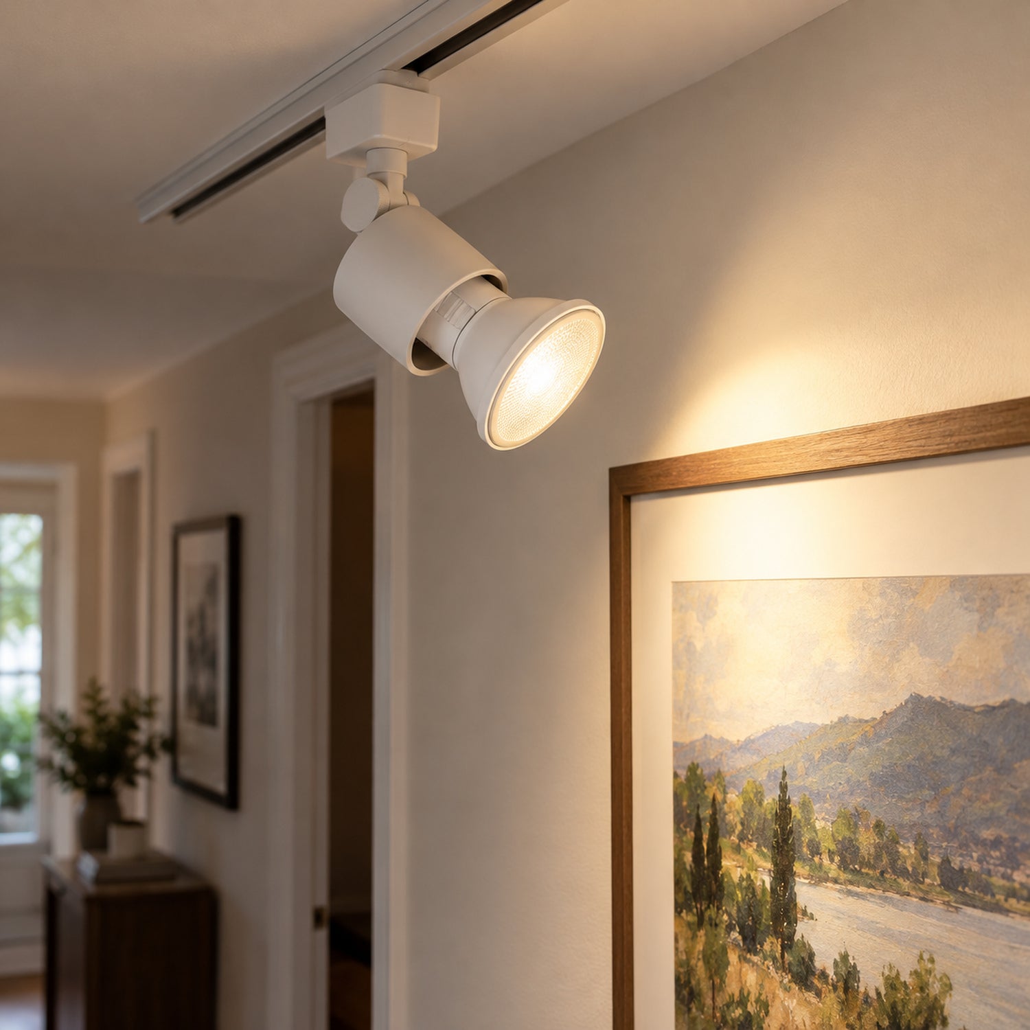 Xtricity Réflecteur à DEL gradable PAR20 - 7 W, 3 TCC sélectionnables, culot E26 - Lot de 6 - Simple Boutique