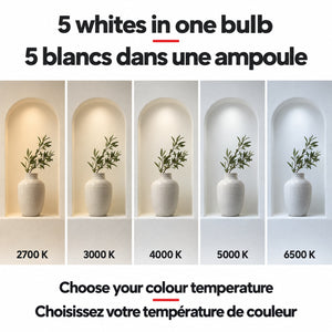 Selectable white light / Blanc sélectionnable — températures de couleur réglables