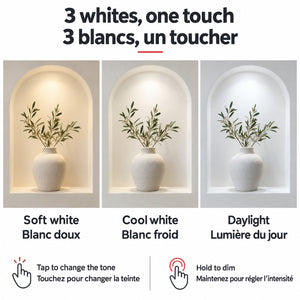Selectable white light / Blanc sélectionnable — températures de couleur réglables