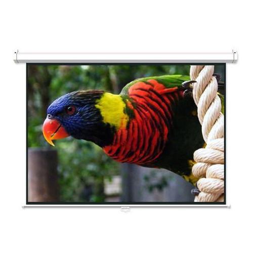 100'' 16:10 Toile de projection manuelle blanche - Simple Boutique