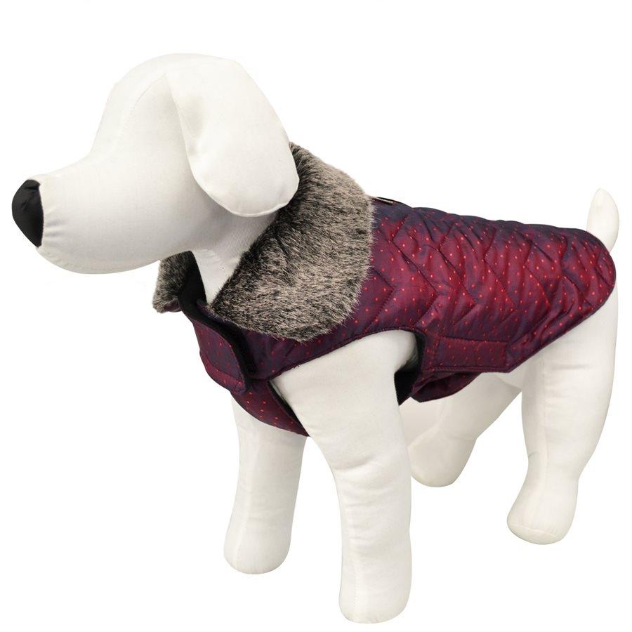 Animooos PCL832M Veste Aviateur pour Chien, Couleur Cerise Foncée, Grandeur Medium - Simple Boutique