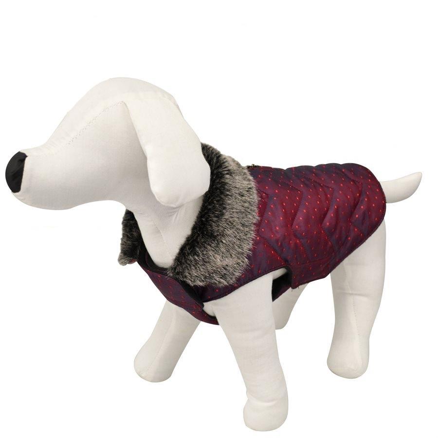 Animooos PCL832S Veste Aviateur pour Chien, Couleur Cerise Foncée, Grandeur Petit - Simple Boutique