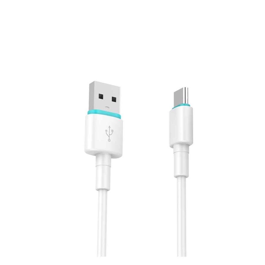 BWOO - Câble USB à USB Type-C, Longeur de 1 Mètre, Sortie 3.0A, Blanc - Simple Boutique