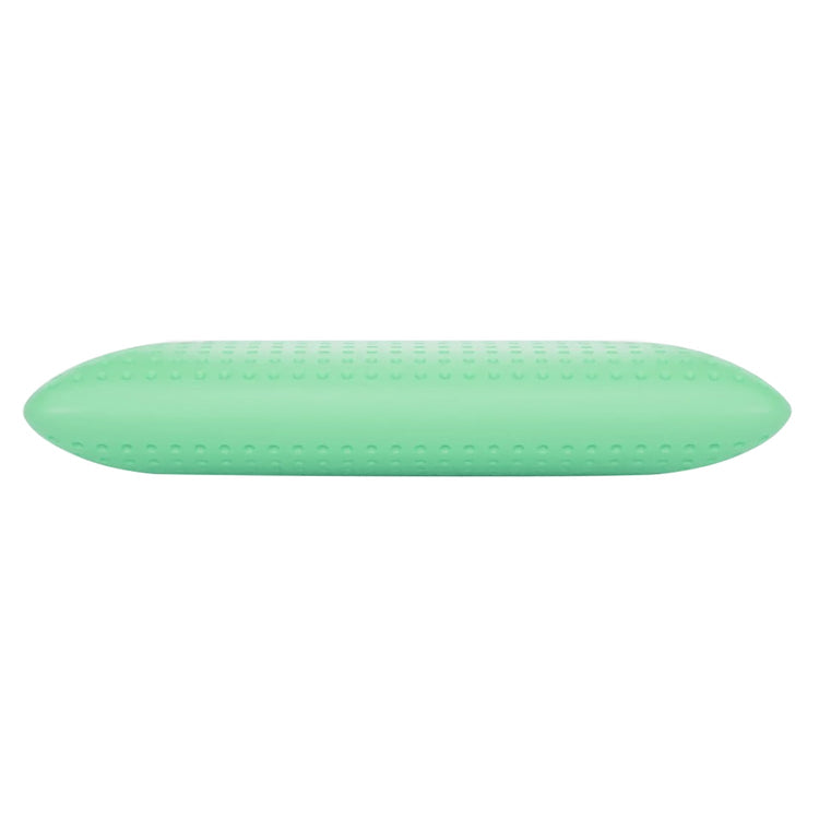 Blu Sleep - Oreiller en Mousse Mémoire Bio Aloe avec Housse, Infusé d'aloès, Grandeur Standard Profil Bas - Simple Boutique