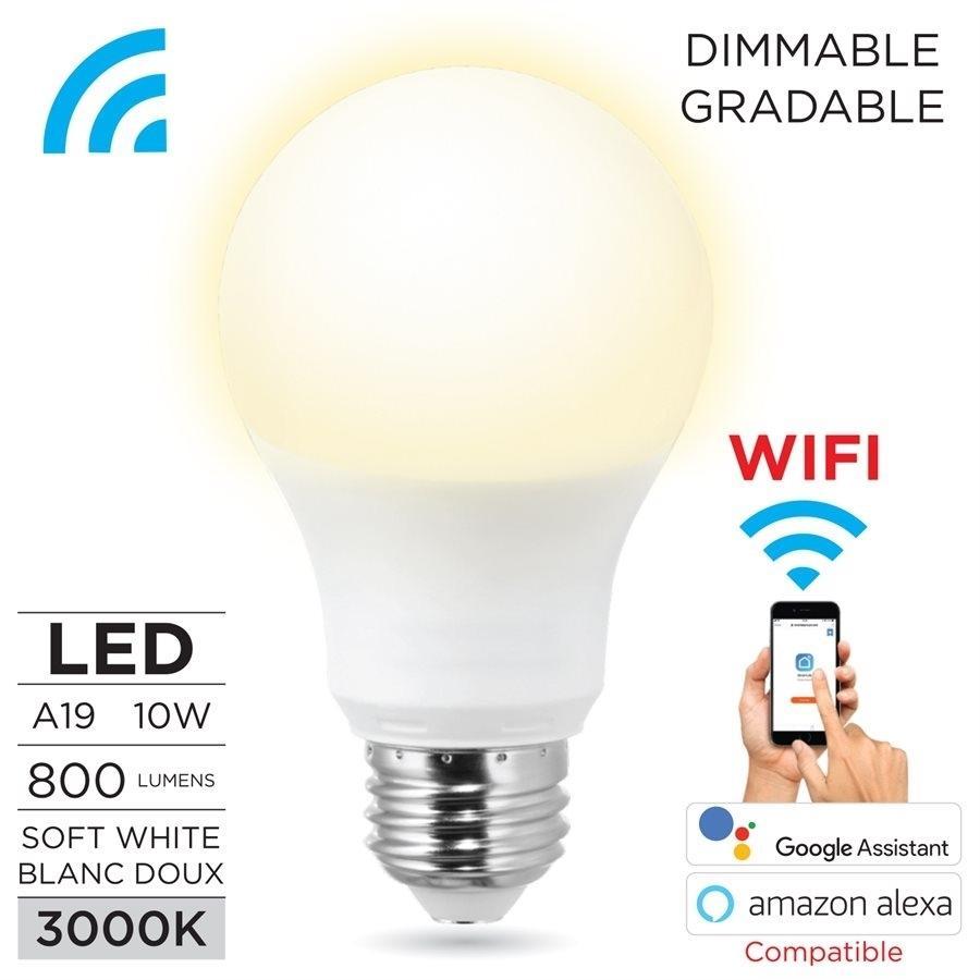 Boost BSMB145 Ampoule Intelligente Smart LED Gradable Blanc Doux - Simple Boutique