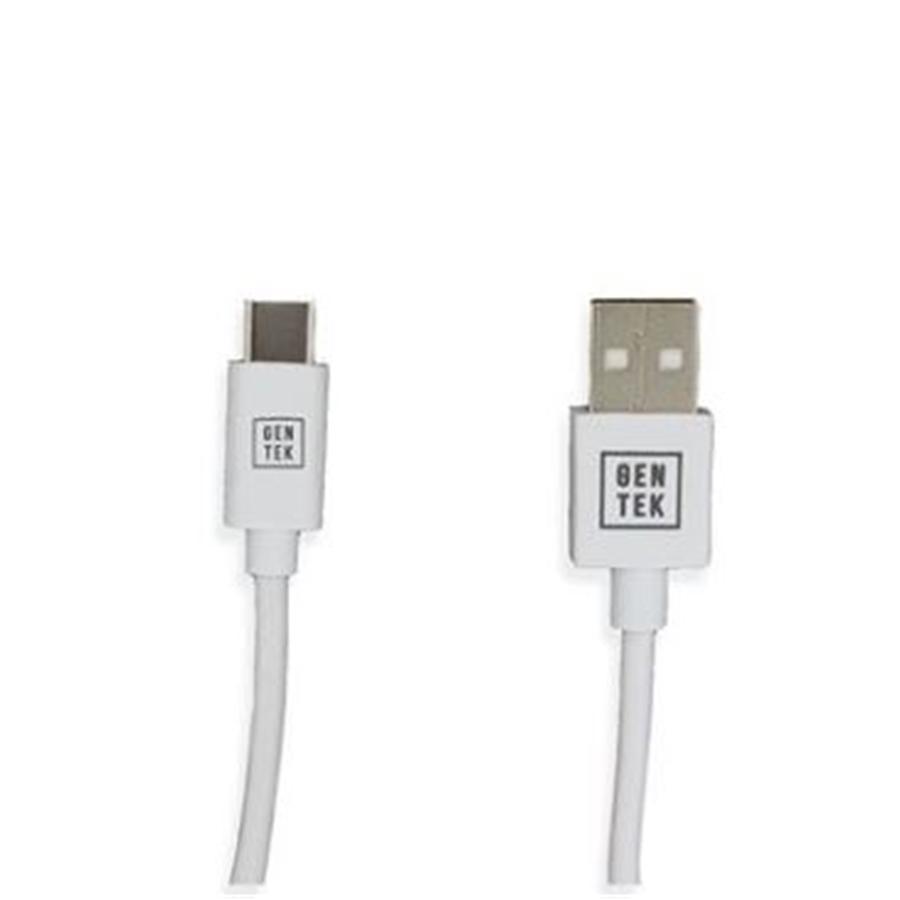Gentek Cable USB 3.0 1.8M USB-A a USB Type-C - Simple Boutique