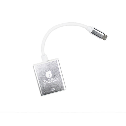GlobalTone - Adaptateur USB Type-C Male à VGA Femelle, Gris