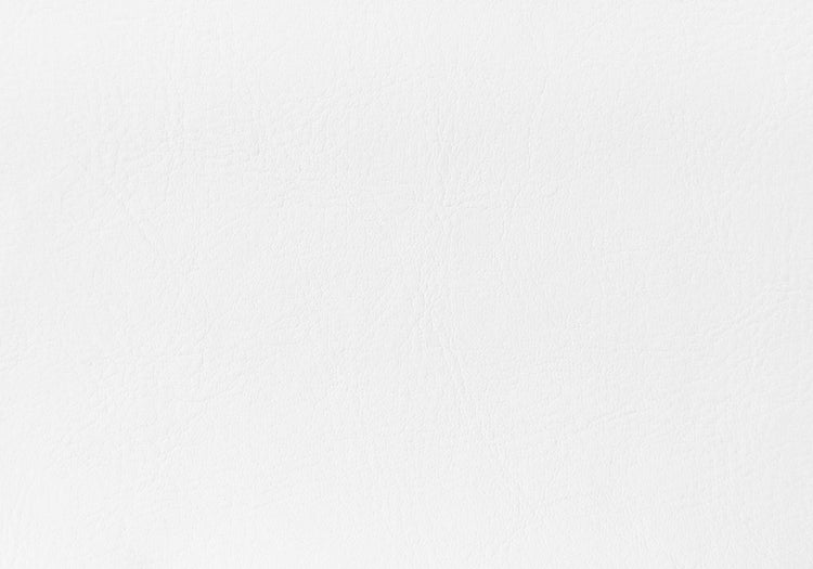 I 5953Q Lit, Grand, Plate-forme, Chambre À Coucher, Cadre, Rembourré, Pu D'aspect Cuir, Pieds En Métal, Blanc, Chrome, Contemporain, Moderne - Simple Boutique