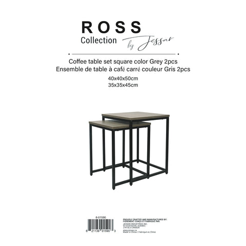 Jessar - Ensemble de 2 Tables d'appoint Carré, De la Collection Ross, Gris