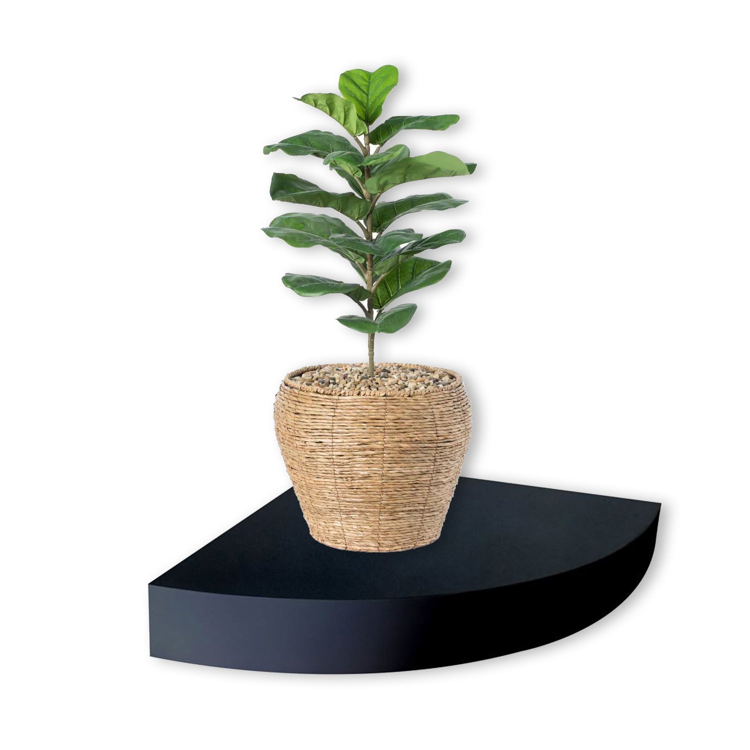 Jessar - Tablette Flottante Murale de Coin Individuelle, 11.7" x 11.7" x 1.97" , Noir - Simple Boutique