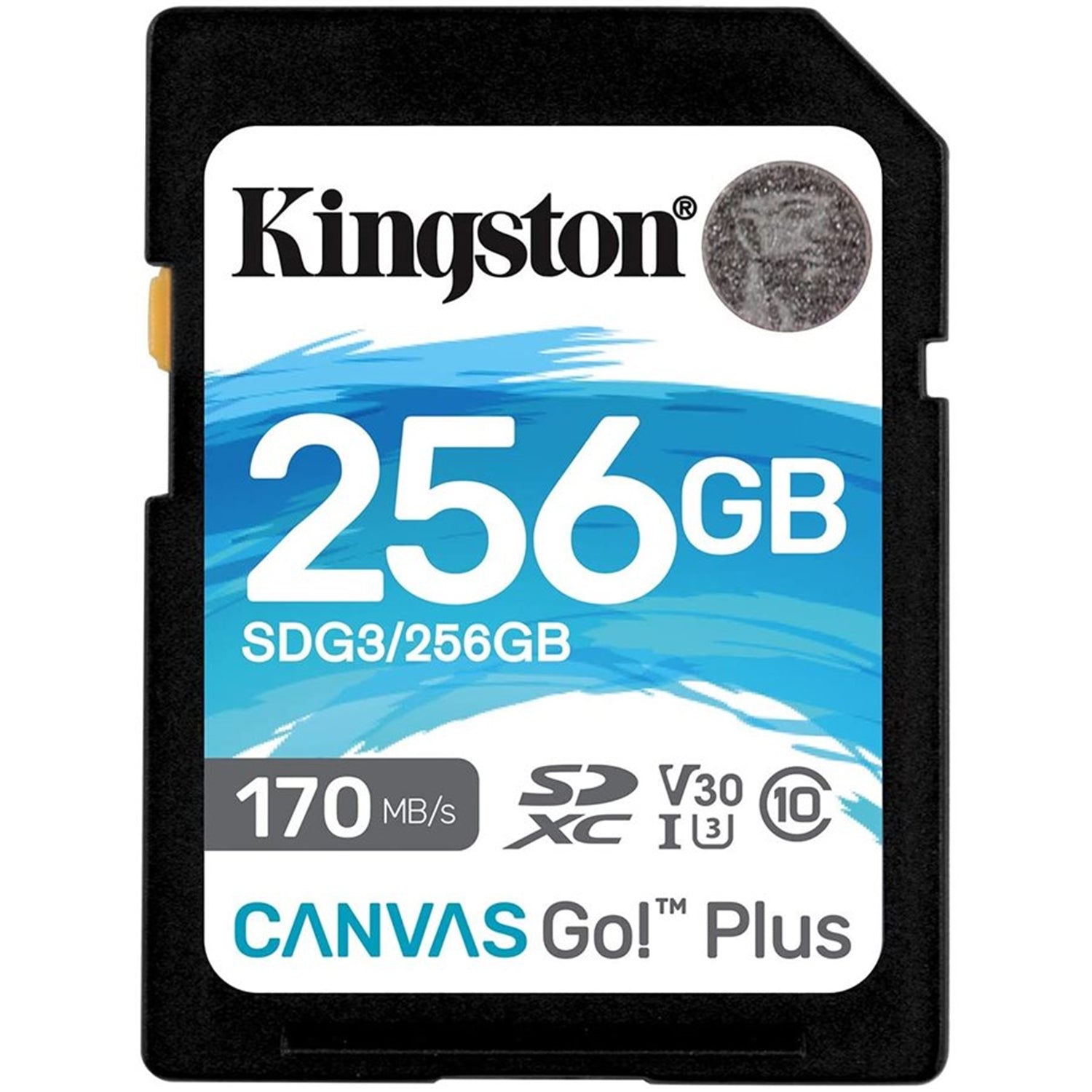 Kingston - Carte Mémoire SD Plus Canvas Go, Capacité de 256GB, Classe 10, UHS-I, U3, V30