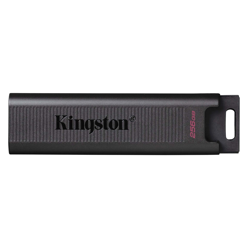 Kingston Technology - Clé USB Type-C DataTraveler Max, USB 3.2 GEN 2, Capacité de 256GB, Noir