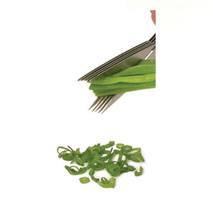 Starfrit - Ciseaux à Fine Herbes à 5 Lames en Acier Inoxydable, Vert - Simple Boutique