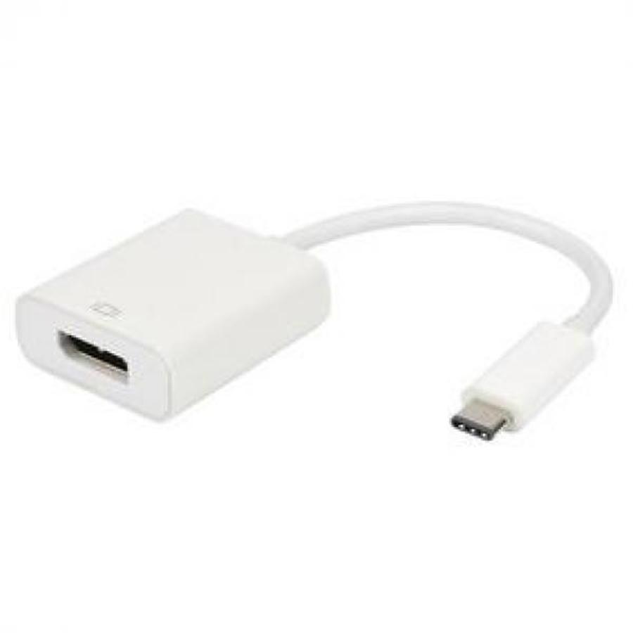 TechCraft AUSB3C-DPF Adapteur USB 3.1 Type-C Mâle à DisplayPort Femelle, Blanc - Simple Boutique