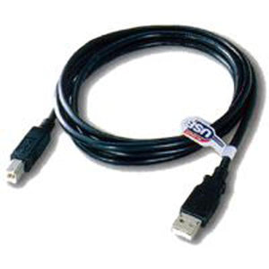 TechCraft Câble USB 2.0 connecteurs A/B Mâle/Mâle 1 pied Noir - Simple Boutique